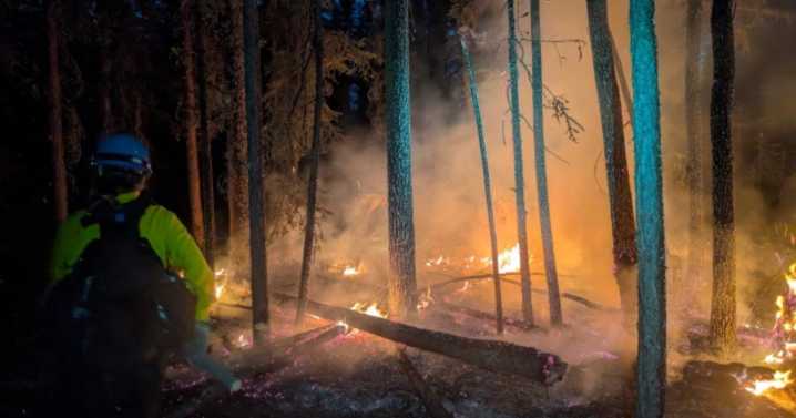 Multiple human-caused fires contained near Tok along Alaska Highway