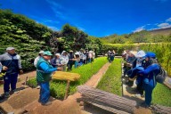Serfor será encargado de diseñar y supervisar instalación de plantaciones forestales