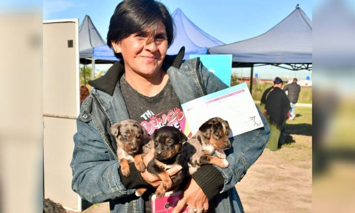 El Castramóvil municipal brindó atención gratuita en el 28 de Junio
