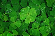 Clover Health: Short-Term Pain Hides Its Long-Term Profitability Potential (NASDAQ:CLOV)