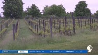 Township supervisor defiant in face of $50 million winery judgement