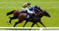 'This filly is a monster' – Jason Heavey marks your card with five more to follow
