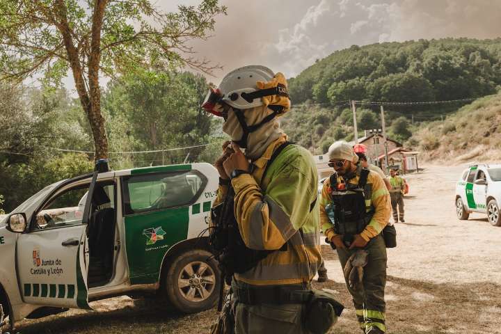 El fuego castiga el santuario de osos y robles de la Montaña Palentina
