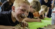 PHOTO: Pie eating contest fun at the Northwest Montana Fair and Rodeo