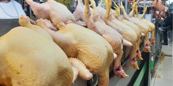 Perú recupera su estatus sanitario y concreta su primera exportación de pollo
