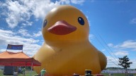 World's Largest Rubber Duck ports at Tall Ship Erie