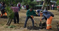 “Inyectan” cientos de plantas nativas al Bosque de Tláhuac