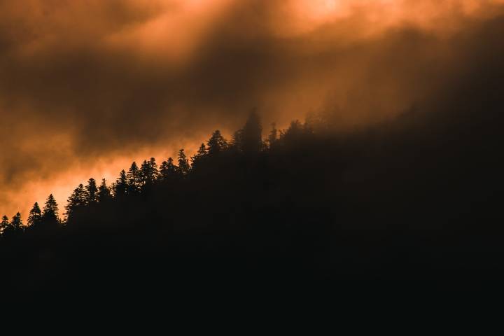  ¿Se puede predecir los incendios forestales y evitar que se produzcan?