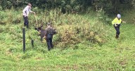 Moose comes loose after falling into a sewage culvert