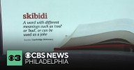 Cambridge Dictionary adds over 6,000 new words, including skibidi, delulu and more