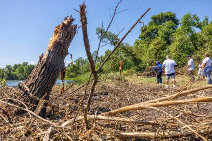 Missing boy drowned after 'blunt force trauma' by an alligator