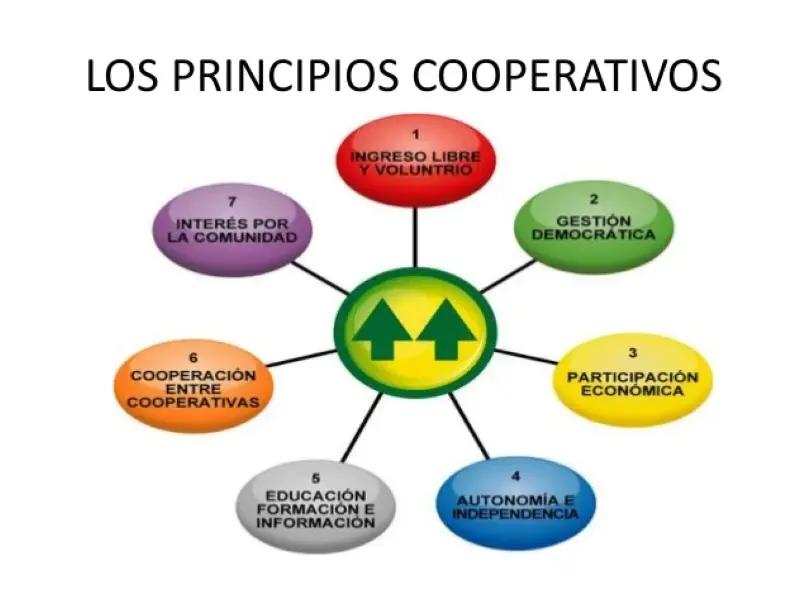 Siete principios, una visión: el cooperativismo como camino colectivo