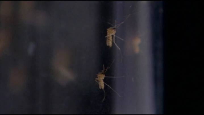 Moorhead residents share that aerial spraying is desperately