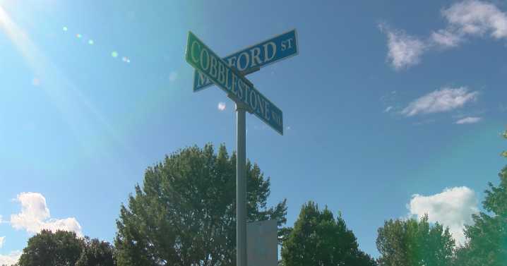 Four dogs attack woman on morning walk, police shot one