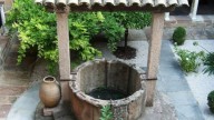 La amenaza que escode el agua de pozos privados en casas de EEUU, las principales «víctimas» son los perros