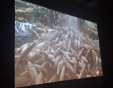 Demuestran que se puede hacer cine de Yucatán