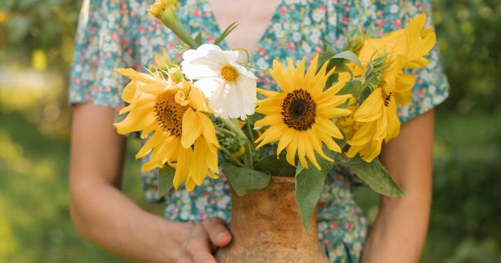 Putting these items next to Sunflowers makes them die far sooner