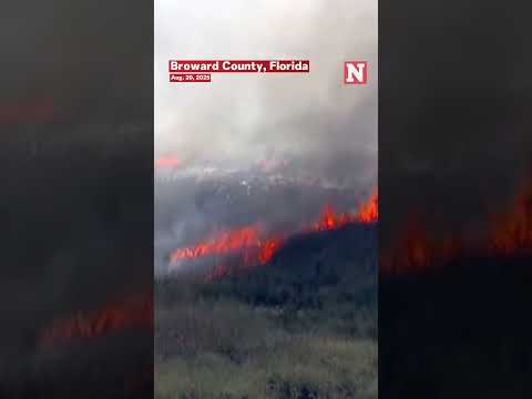 Brush Fires In Everglades Send Smoke Across South Florida