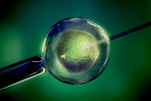 Genetic Testing Could Improve IVF Success for Women Over 35