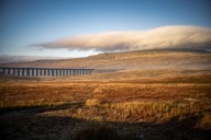 Hard water, parrots and God's Own Country: Country Life's Quiz of the Day, August 12, 2025