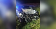 Black bear killed in Princeville crash  :: WRAL.com
