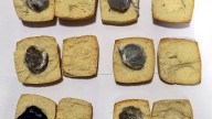Incautan criollos rellenos con marihuana en una cárcel de Córdoba