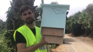 El murciélago, clave para controlar los mosquitos: "Puede comerse 3.000 por noche"