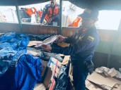 Autoridades incautaron dos toneladas de pescado prohibido para el consumo humano