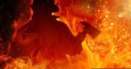 Springville blaze: Firefighters limit damage, rescue dog from basement