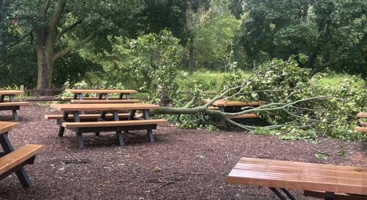 Fox Valley Park District continues cleanup after storms