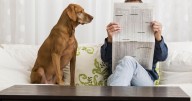 Creating a paws-itive impact with Iredell Animal Shelter reading program