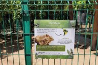Alcalde de Culiacán debe explicar desaparición de animales en Zoológico, dice regidora; desde el 2001 no hay informes