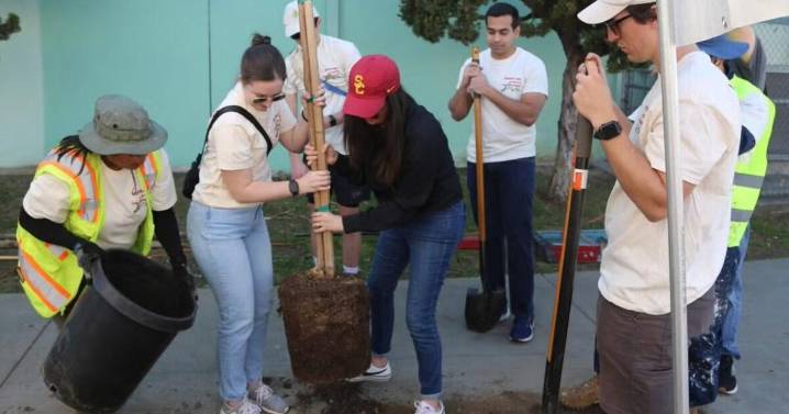 Ahead of the 2028 Olympics, Los Angeles launches a program to expand shade across the city