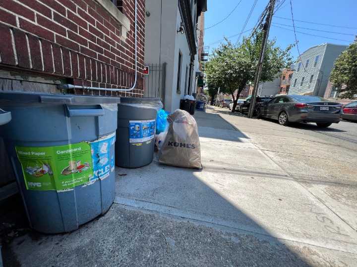¡Menos ratas a la vista!: Ciudad da parte positivo tras 15 millones de libras de basura levantadas