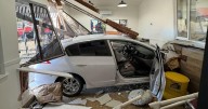 Car crashes into Oakdale animal rescue, several cats escape