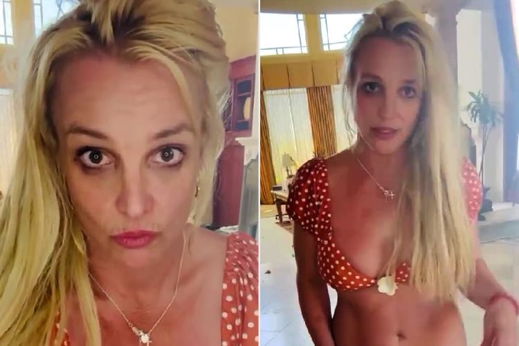 Britney Spears Instagram Video Sparks New Round of Concern