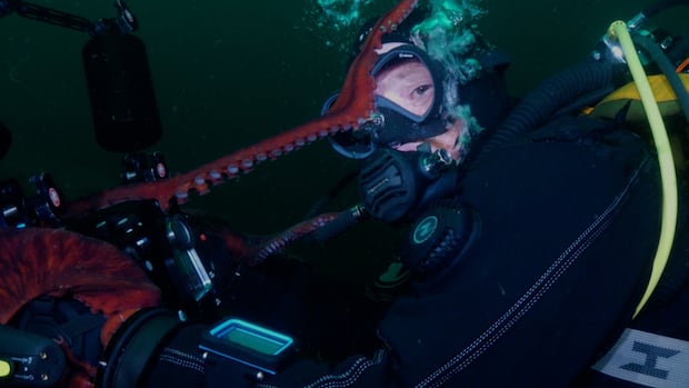 Giant Pacific octopus shoots video of itself after claiming camera from B.C. divers