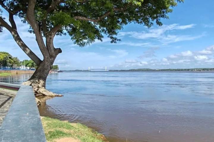 VIDEO: crecida del río Orinoco provoca que los peces aparezcan en las calles de Bolívar