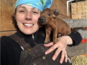 Chorney-Booth: Eh Farms’ red Mangalitsa pork wins over Calgary chefs