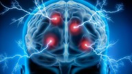 Descubrimiento inaudito: científicos consiguen revertir el envejecimiento cerebral en ratones
