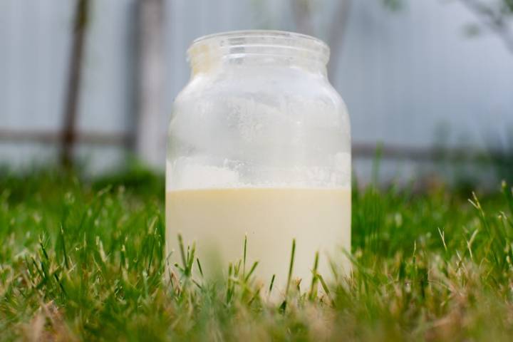 Raw milk tied to over 21 illness cases, 7 hospitalizations in Florida
