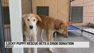 Lucky Puppy Rescue Gets $150,000 Donation