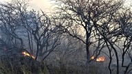 Incendio afecta campos en Chacharramendi: se originó por una quema no autorizada