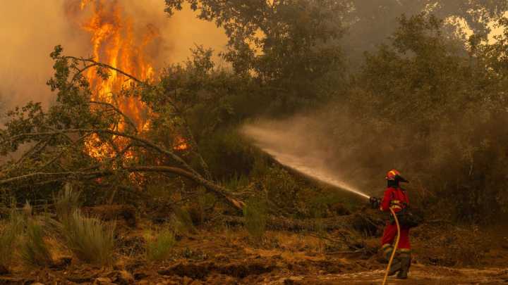 Última hora de los incendios forestales| La UME tiene a "más de 1.100" militares en las labores de extinción de 10 incendios en España