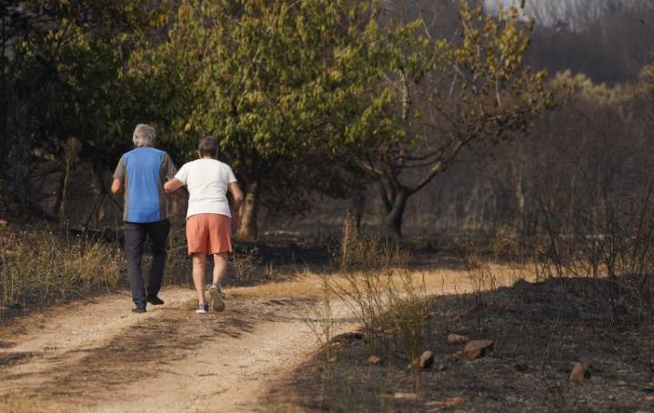 Carlos Martínez urge de una reunión urgente por los incendios en CyL