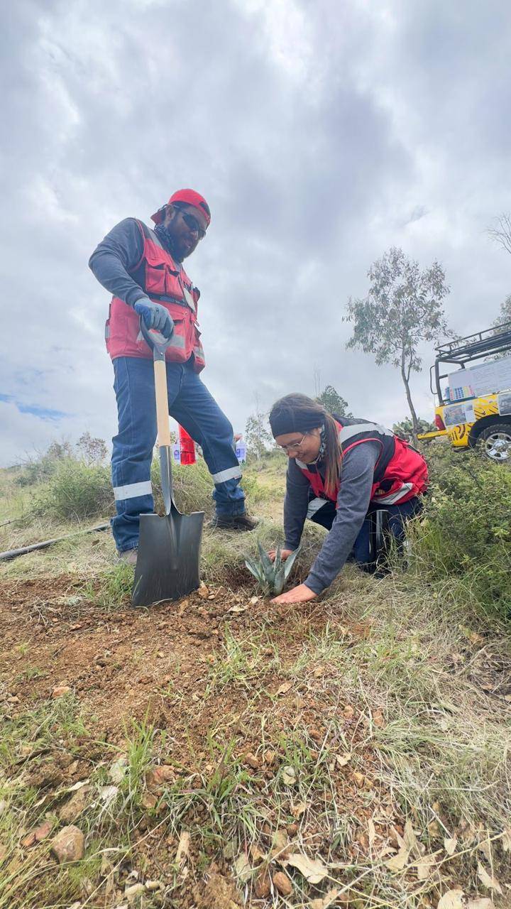 Orla Camino Rojo participa en la reforestación del Cerro de la Bufa