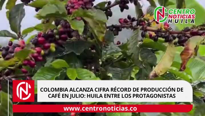 Colombia alcanza cifra récord de producción de café en julio: Huila entre los protagonistas