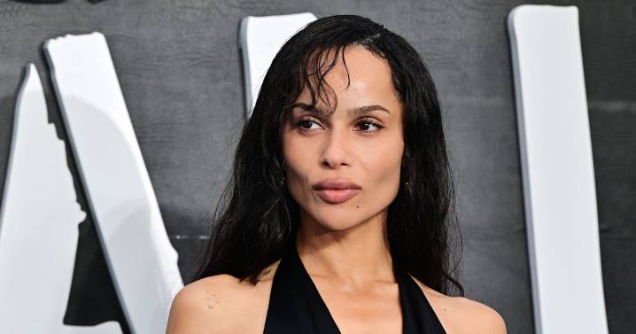 Zoë Kravitz's 'Caught Stealing' Premiere Dress Is Slit Up to Her Waist