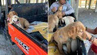 Kids Leave Heartbreaking Goodbye Letter With Their Dog At South Carolina Shelter