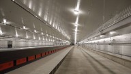 Granjas Camis invierte 11 millones para exportar embriones desde León